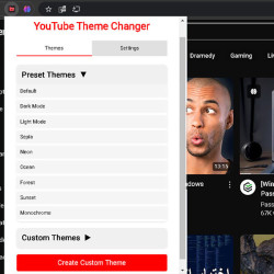 Youtube Organizer